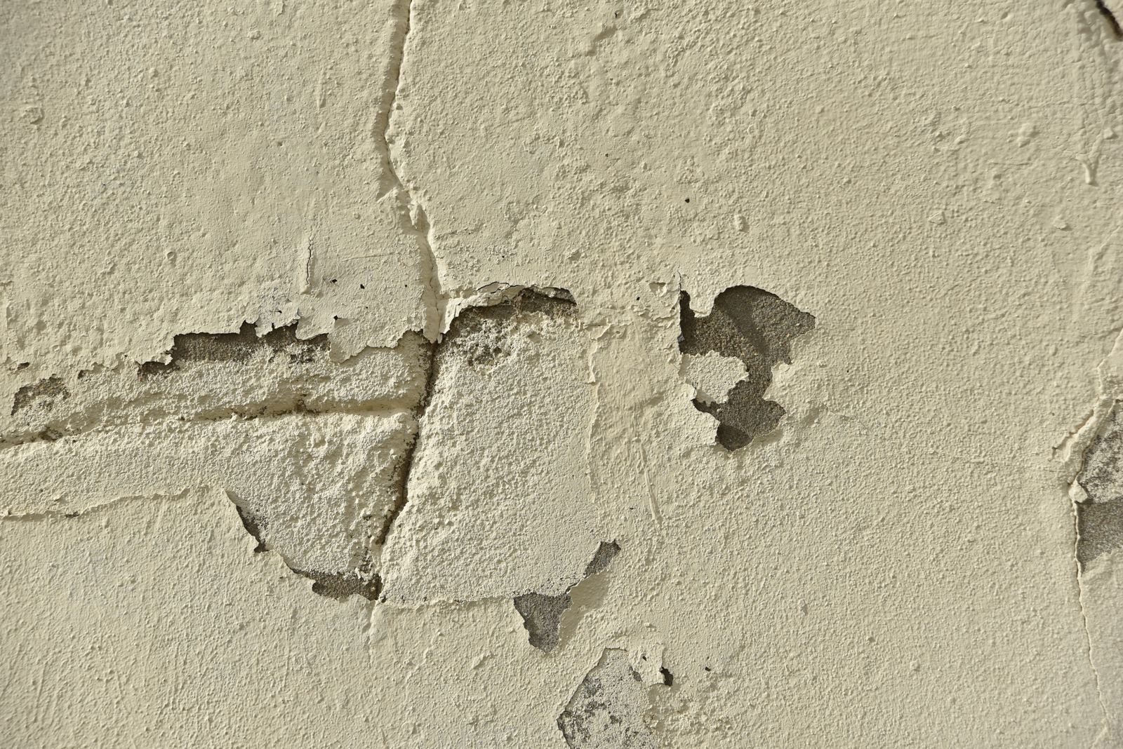 pt_202409_0076.jpg